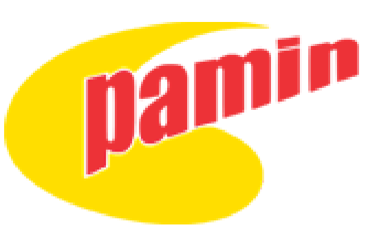 Pamin